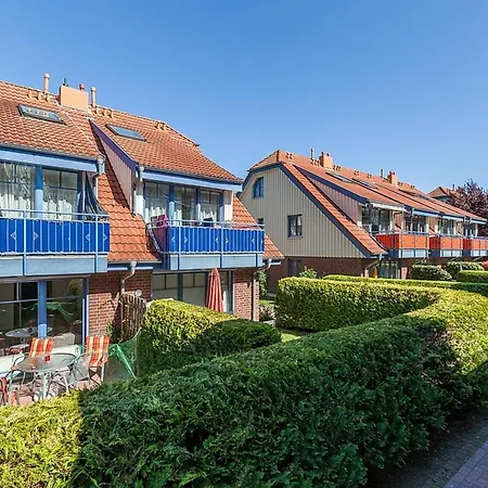 Papillon 05-4 * Boltenhagen