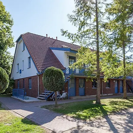 Papillon 05-4 Boltenhagen