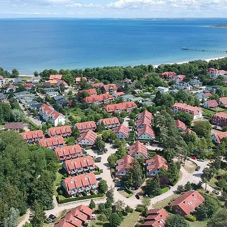 Papillon 05-4 Boltenhagen